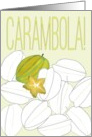 Thank You for Sharing a Carambola Fruit Harvest card