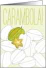 Thank You for Sharing a Carambola Fruit Harvest card