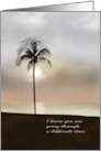 Support for Divorced Lone Coconut Tree on Beach Evening Sky card