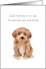 Looking In on You to See How You Are Maltipoo Feel Better card