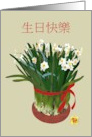 Birthday in Chinese Flowering Narcissi Tied with Deep Pink Ribbon card