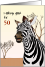 Custom Birthday Smiling Zebra out on Open Flat Land card