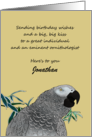 African Grey Parrot with Custom Birthday Greeting for Ornithologist card