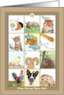 Vietnamese New Year Twelve Zodiac Animals card