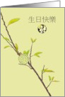 Birthday Greeting in Chinese Custard Apple on Branch card