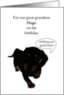 Great Grandson Birthday Dachshund With Good Chow Wishes Custom card