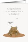 New Pet Cartoon Toad Eyeing Delicious Fly card