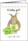 New Baby Girl Cute Baby Rabbit With Pacifier and Bib Congratulations card