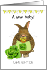 New Baby Cute Baby Rabbit With Pacifier and Bib Congratulations card