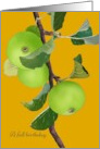 Fall Birthday Drawing Of Green Apples And Foliage On Branch card