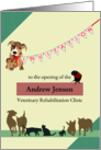 Invitation Opening Of Veterinary Rehabilitation Clinic Dogs Cats Bird card