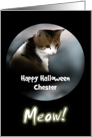 Halloween For Cats Partial Profile Of Cat In The Night Custom card