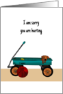 Sorry You Are Hurting Sympathy For Male Child Puppy Sitting In Cart card