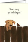 Sorry You Are Feeling Sad Puppy And Little Bird Sympathy For Child card