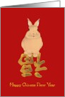 Happy Chinese New Year Of The Rabbit Profile Of A Rabbit card