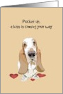 Pucker Up For A Kiss Basset Hound Valentine’s Day card