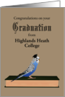 Blue Parakeet Wearing Graduate Cap Custom Graduation card