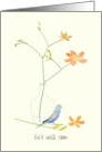 Blue Parakeet Beside Glass Vase of Delicate Orange Flowers Get Well card