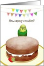 Green Parakeet Asking How Many Candles Sponge Cake Birthday card