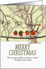 Christmas Nephew And Niece In Law Red Robins On Tree Branch Snowing card
