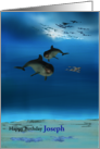 Dolphins Swimming Along Sea Bed Birthday card