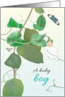 Congratulations Baby Boy Pea Tendrils Supporting Baby Butterflies card