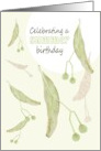 Birthday In Summer Tilia Tree Seeds Drifting Down card