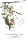 Christmas Money Gift Squirrel With Nut card