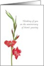 Anniversary Mom’s Passing Sibling to Sibling Red Gladioli Flowers card