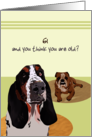 Custom Age You Think You Are Old Basset Hound and Boxer Birthday card