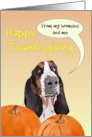 Thanksgiving from Basset Hound Pet Dog and Hoomans card
