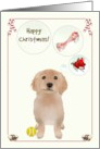 Christmas Retriever Puppy Wishing for Bone May Your Wishes Come True card