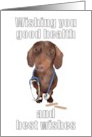 Doctor Retirement Dachshund with Stethoscope Slung Round its Neck card