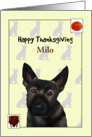 Custom Thanksgiving for German Shepherd Roast Turkey and Pumpkin card