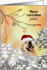 Christmas for Fur Baby Labrador Playing In Snow Covered Shrubs card