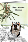 Christmas for Fur Baby Husky Out and About in the Snow card