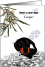 Christmas for Fur Baby Dachshund Out and About in the Snow card