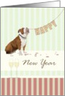 Bulldog Holding String with Word HAPPY Champagne New Year card