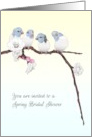 Spring Bridal Shower Invitation Cute Parrots on Branch with Flowers card