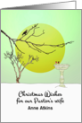 Christmas for Pastor’s Wife Birds Perched on Branch and BIrd Bath card