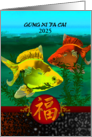 Chinese New Year 2025 Goldfish and Luck card