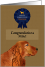 Cocker Spaniel Dog Agility Competition Winner Congratulations card