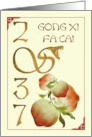 Chinese New Year of The Snake 2037 Abstract Snake and Peaches card