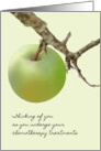 Thinking of You Chemo Treatments Green Apple on a Branch card