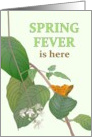 Spring Fever Is Here Hope You Catch It Green Foliage and Butterfly card
