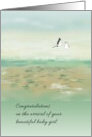 New Baby Girl Stork Carrying Baby Bird’s Eye View Of The Land Below card
