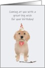 Golden Retriever Puppy Wearing Party Hat And Love You Heart Birthday card