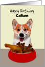 Birthday Happy Corgi Ready To Tuck Into Bowl Of Chicken And Biscuits card
