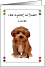Birthday Cute Maltipoo Bearing Gift Of Dog Biscuit card