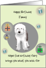 Old English Sheepdog Hoping Birthday Fairy Brings Your Present Wish card